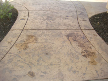 Curved concrete mow strip separating lawn from flower bed in Elk Grove, CA