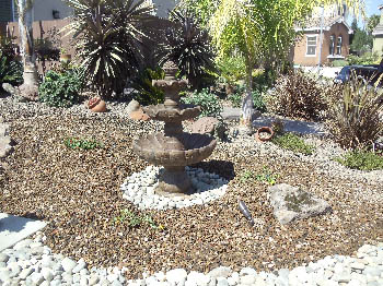 Low-maintenance xeriscape garden featuring native California drought-tolerant plants and bark mulch