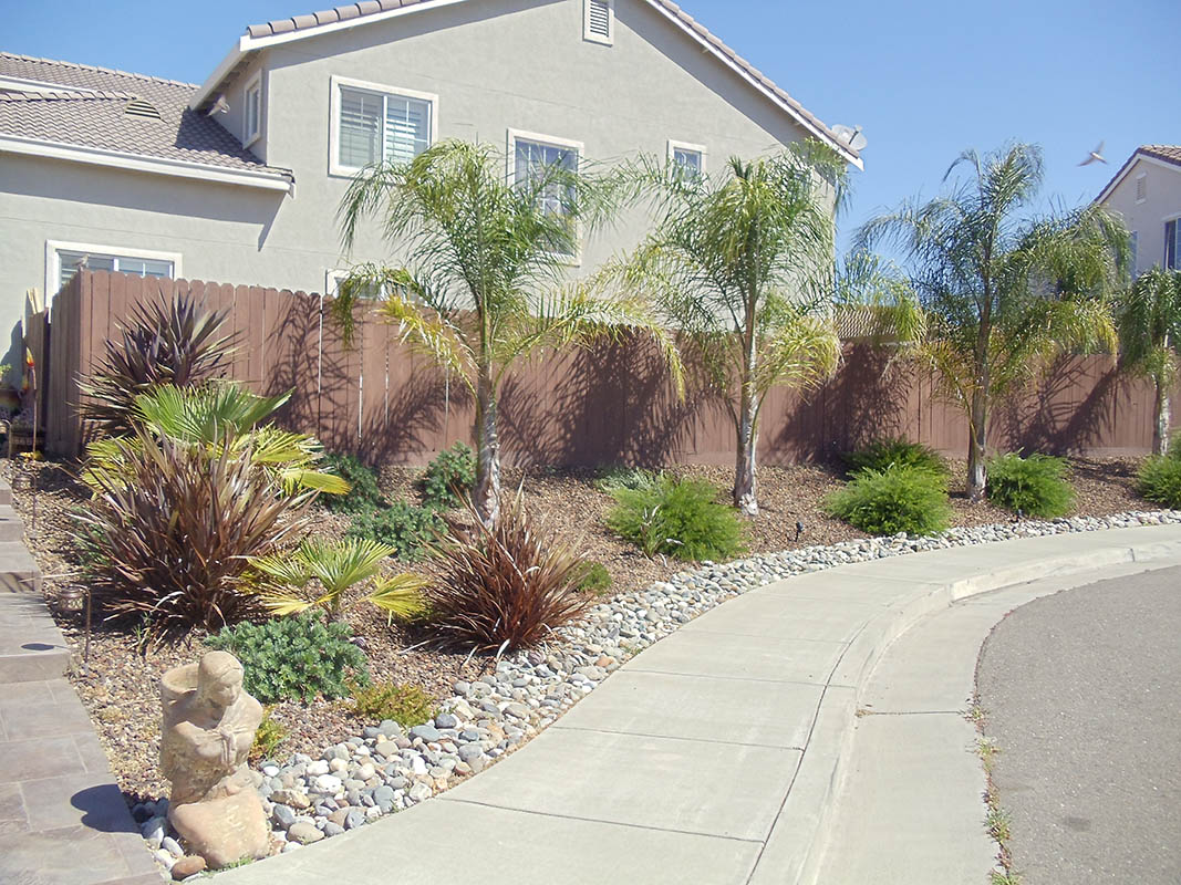 Low-maintenance xeriscape garden featuring native California drought-tolerant plants and bark mulch