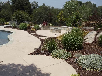 Drought resistant landscape design in Elk Grove