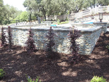 Low-maintenance xeriscape garden featuring native California drought-tolerant plants and bark mulch