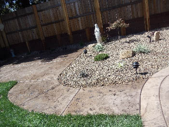 Low-maintenance xeriscape garden featuring native California drought-tolerant plants and bark mulch