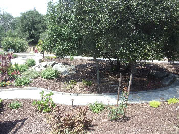 Natural Pennsylvania Bluestone flagstone patio with mortar joints installed in El Dorado Hills, CA