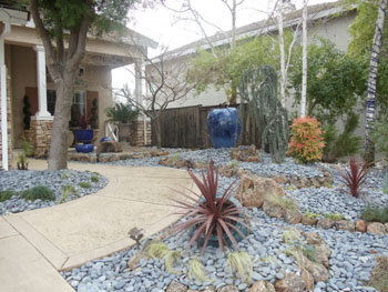 Zen rock garden design in Folsom