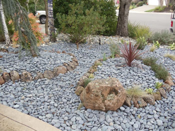 Modern Japanese rock garden with raked decomposed granite and basalt boulders