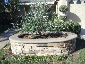 Engineered interlocking concrete block retaining wall for hillside erosion control