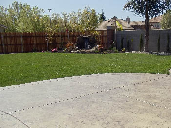 Freshly installed tall fescue sod lawn for a residential backyard in Elk Grove