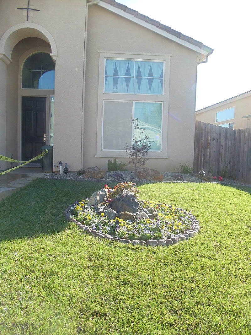 Freshly installed tall fescue sod lawn for a residential backyard in Elk Grove