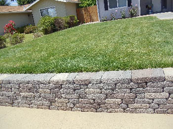 Freshly installed tall fescue sod lawn for a residential backyard in Elk Grove
