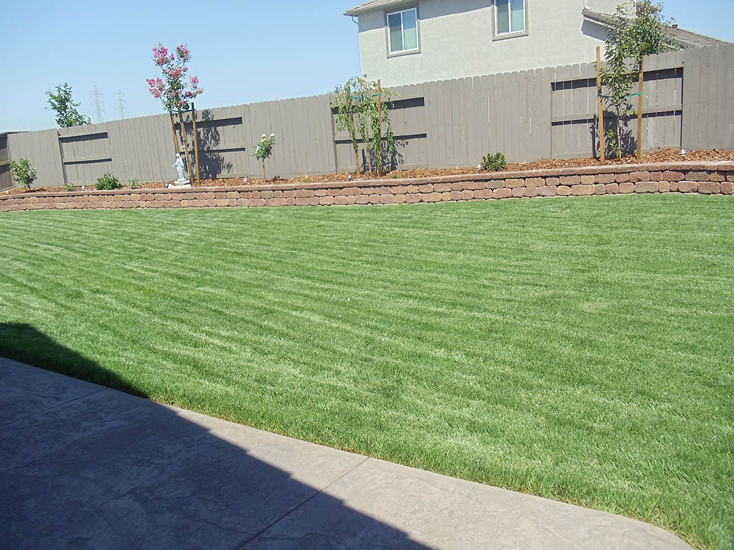 Fresh sod installation in Elk Grove