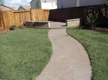 Freshly installed tall fescue sod lawn for a residential backyard in Elk Grove