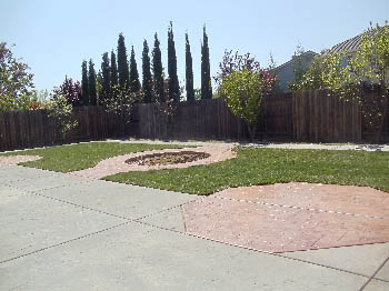 Freshly installed tall fescue sod lawn for a residential backyard in Elk Grove