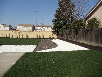 Freshly installed tall fescue sod lawn for a residential backyard in Elk Grove
