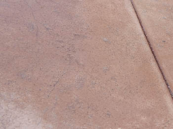 Custom stained concrete service installed by Delta Construction & Landscaping in Elk Grove.