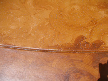 Custom stained concrete service installed by Delta Construction & Landscaping in Elk Grove.