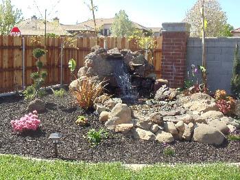 Natural stone pondless waterfall with LED lighting and aquatic plants