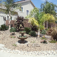 Drought Resistant Plants